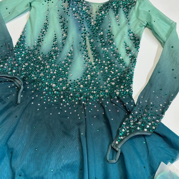 New Figure Skating Dress Size 10 (5~8T) with Hair Scrunchies (120~130cm) - Picture 4 of 10